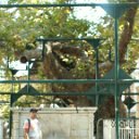 PICT0697