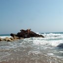 PICT0787